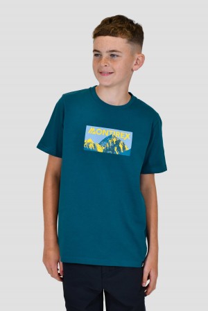 Cruise Montirex Boys Fell T-Shirt | OQFGS-5960