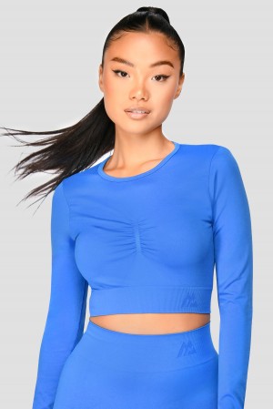 Egyptian Blue Montirex Evolve Seamless Crop | ZXKEQ-2371