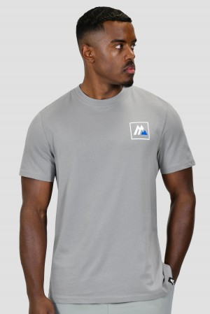 Platinum Grey Montirex M Box Logo T-Shirt | JDUGX-7360